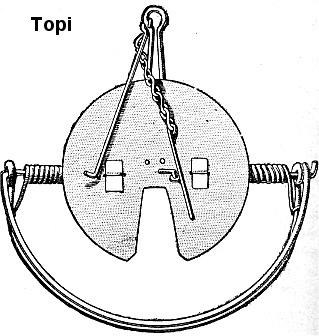 trappole