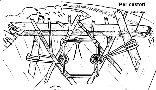 trappola per castori